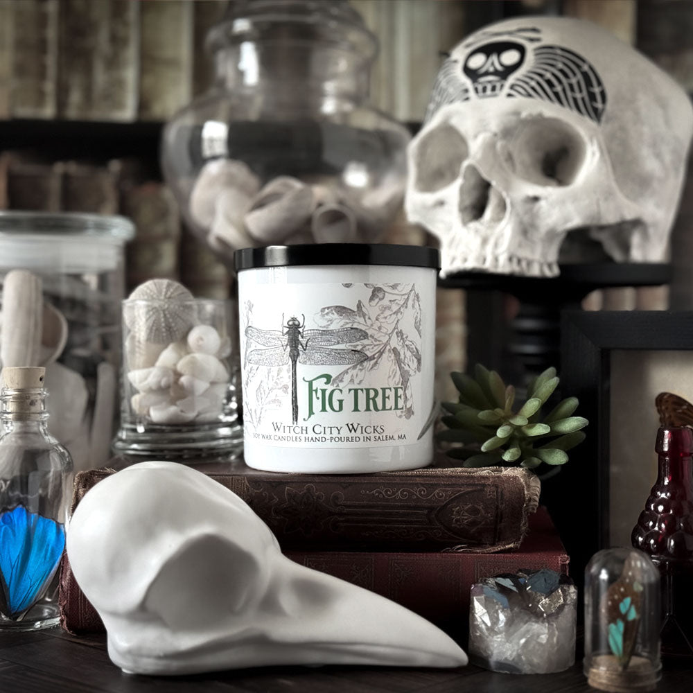 Fig Tree jar candle