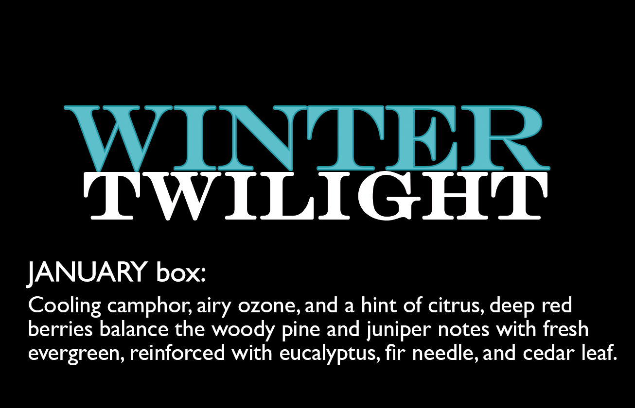 January 2024- Winter Twilight