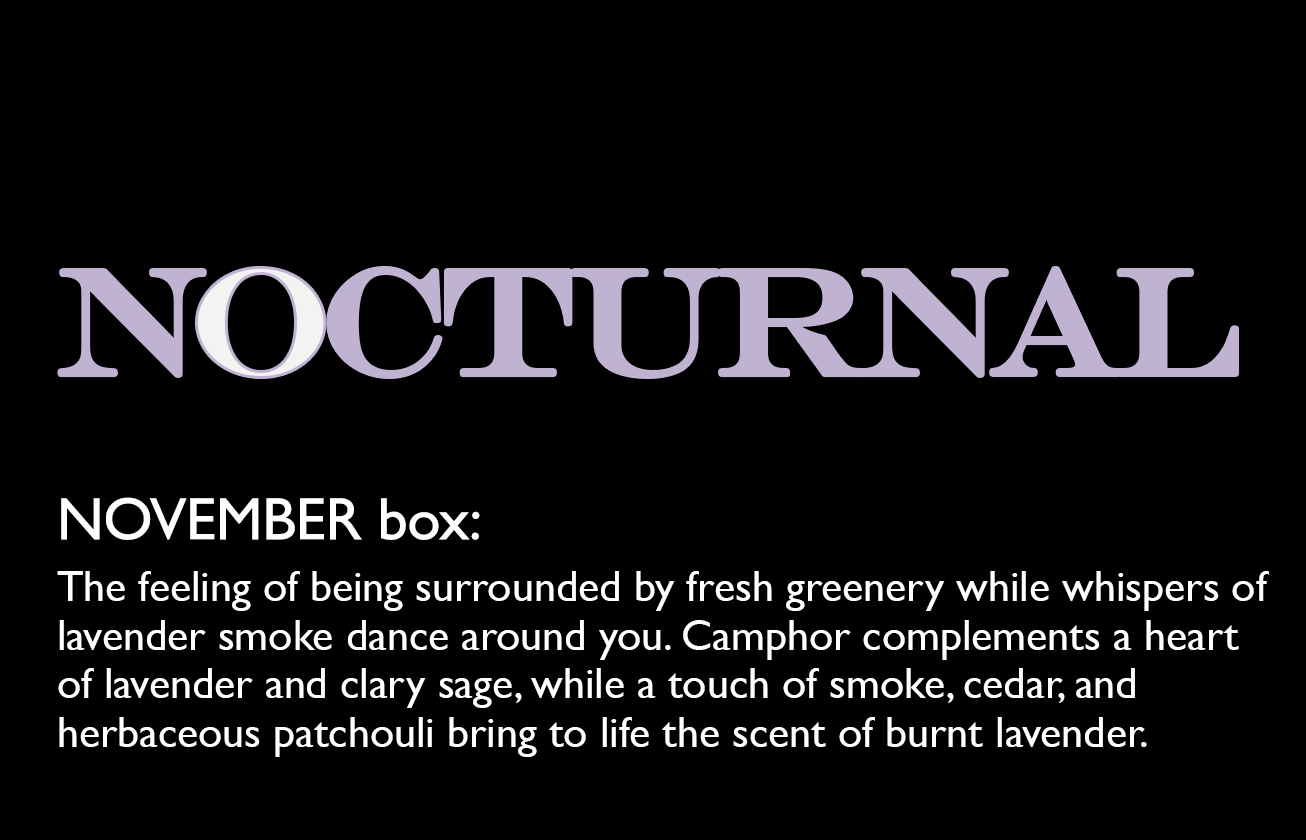 November 2024- Nocturnal